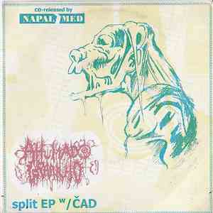 Ahumado Granujo / Čad - Split EP download free