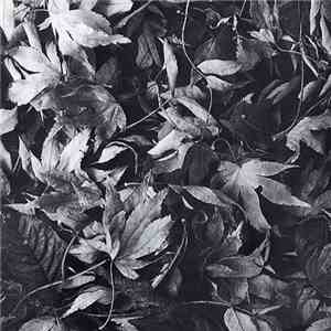Bark Psychosis - All Different Things / By-Blow download free