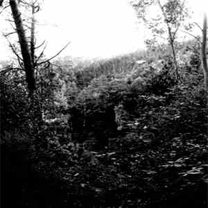 Bosque - Passage download free