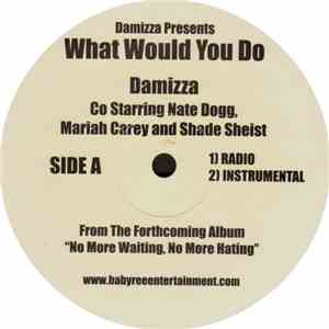 Damizza Co Starring Nate Dogg, Mariah Carey And Shade Sheist - What Would You Do download free