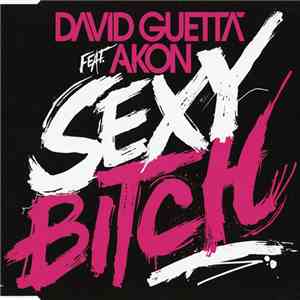 David Guetta Feat. Akon - Sexy Bitch download free