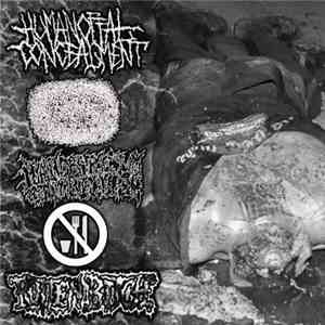 Human Offal Concealment / Varanus Komodoensis / Hyalinobatrachium Colymbiphyllum / Pro Anorexia / Rotten Bitch - Human Offal Concealment/Varanus Komodoensis/Hyalinobatrachium Colymbiphyllum/Pro Anorexia/Rotten Bitch download free