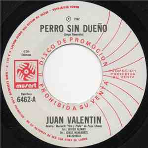 Juan Valentin, Mariachi Oro Y Plata De Pepe Chávez - Perro Sin Dueño download free