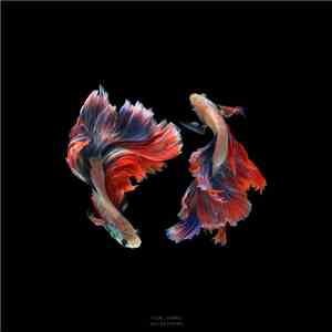 Kai Beckman - Yin_Yang download free