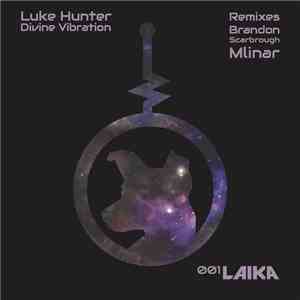 Luke Hunter - Divine Vibration download free