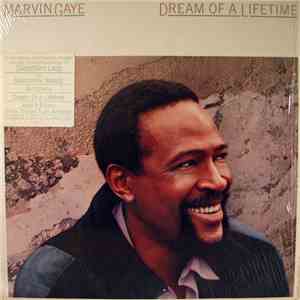 Marvin Gaye - Dream Of A Lifetime download free