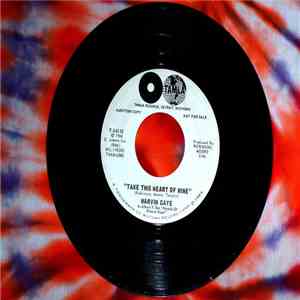 Marvin Gaye - Take This Heart Of Mine download free