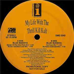 My Life With The Thrill Kill Kult - Blue Buddha download free