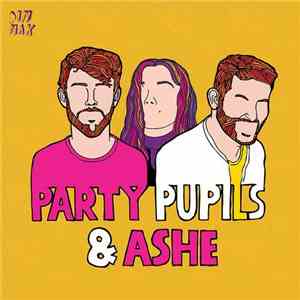 Party Pupils Ft. Ashe  - Love Me For The Weekend download free