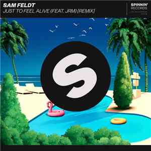 Sam Feldt Feat. JRM  - Just To Feel Alive (Remix) download free