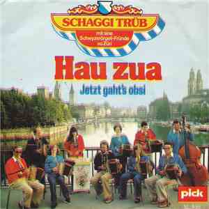 Schaggi Trüb Und Sini Schwyzerörgelifründe vo Züri - Hau Zua download free
