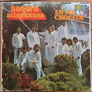 Sonora Altepexana - En mi chocita download free