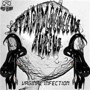 Staphylococcus Aureus - Vaginal Infection download free