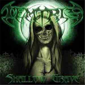 Temtris - Shallow Grave download free