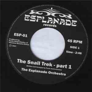 The Esplanade Orchestra - The Snail Trek / Pt.2 download free